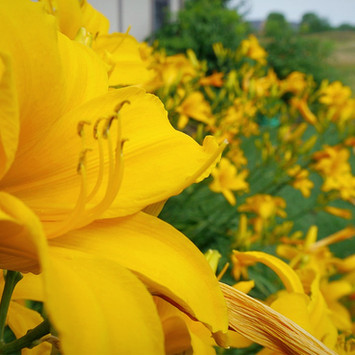 img_header_edited.jpg