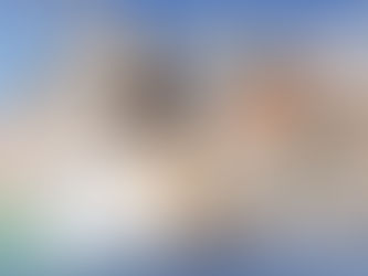 I GRAN CONCURSO MORFOLÓGICO DE POZAL DE GALLINAS