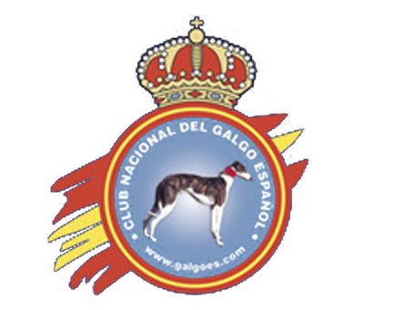 Información sobre los actos del CNGE en Los Palacios y Villafranca