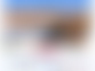 IV CONCURSO MORFOLÓGICO DEL GALGO ESPAÑOL EN ALMENDRALEJO