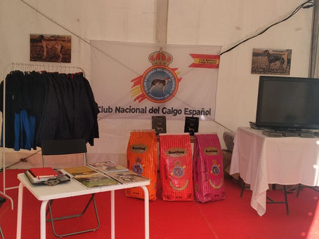 El Estand del Club está listo para la 25 Feria Agroganadera de Los Palacios y Villafranca