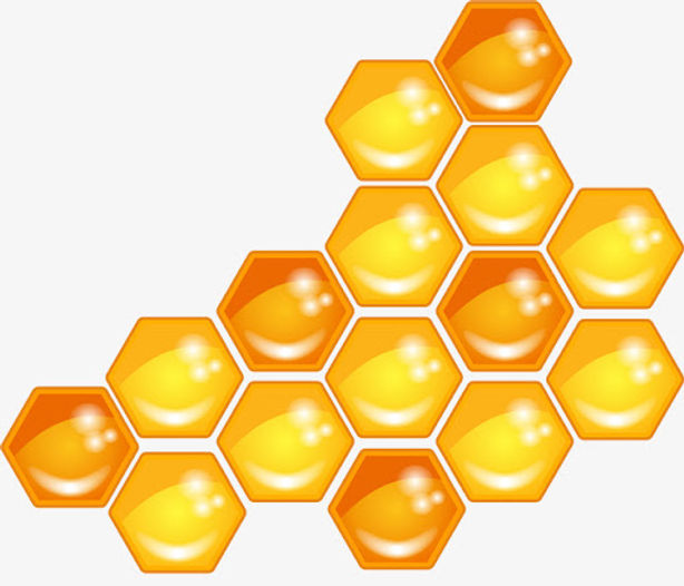 honey comb.jpg
