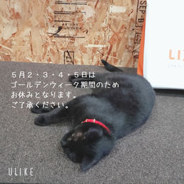 GW期間中のお休みについて
