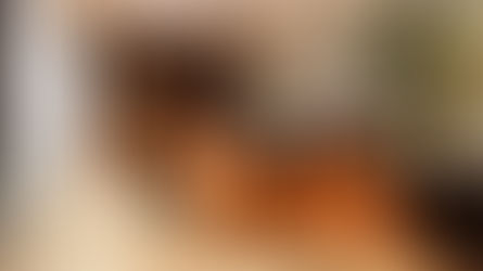 Direito Ambiental. Ecocídio: Perspectivas e Desafios para o Reconhecimento como Crime Internacional