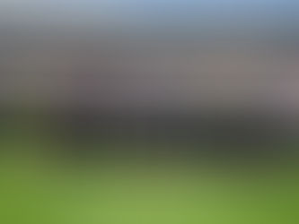 El Gallo quiere cantar en el Apertura 2016.