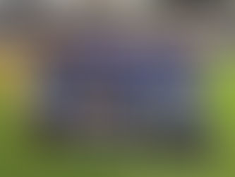 ¿IMPONDRÁ TIGRES SU LOCALÍA?