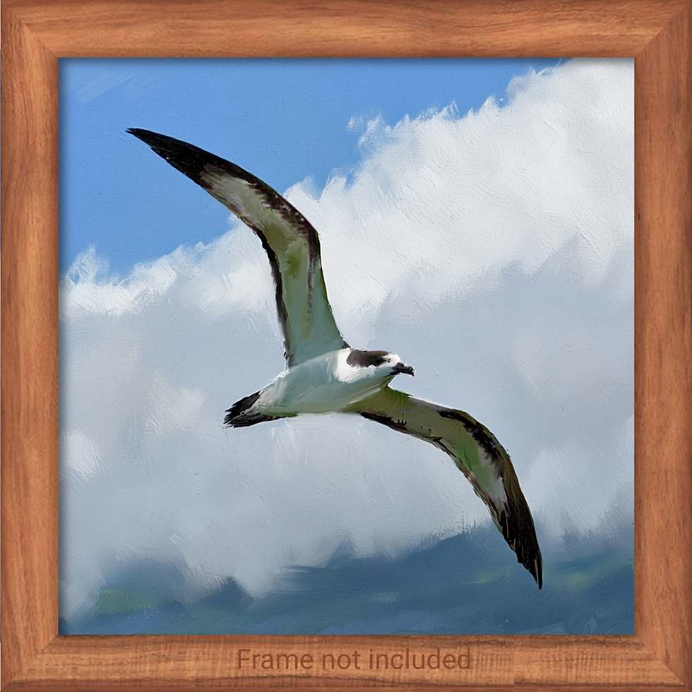 ʻUaʻu - Kini Series