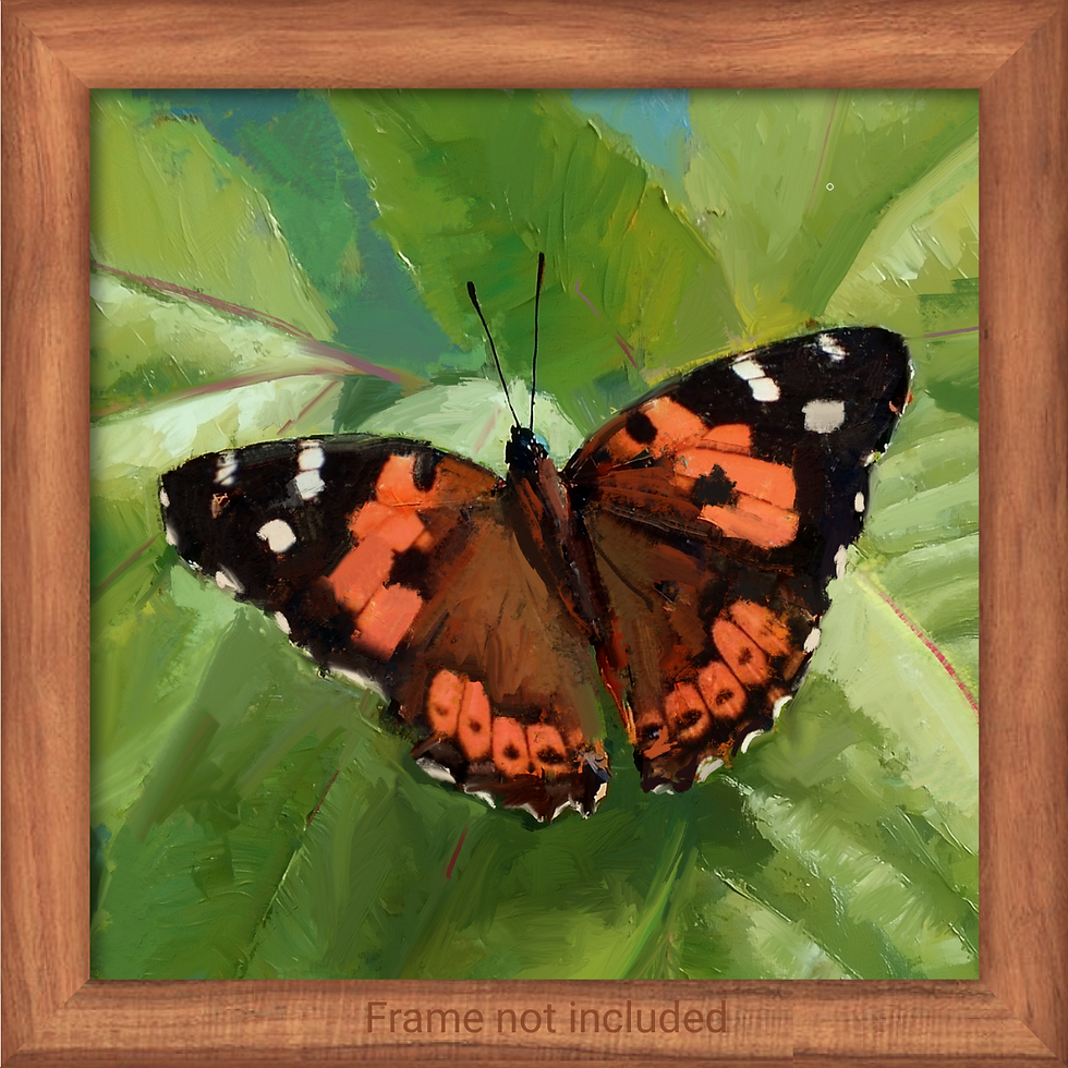 Pulelehua - Kini Series