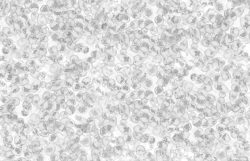 cell pattern.png