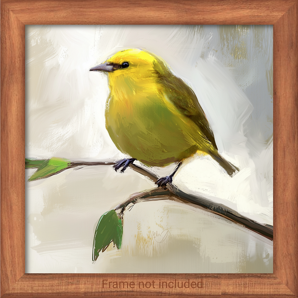 ʻAmakihi - Kini Series