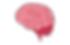 brain_icon.png