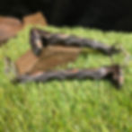 Artisan forged railroad spike bottle opener with skull head design and raw steel ground highlights