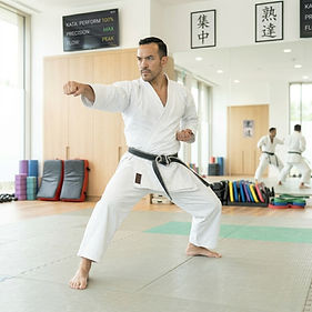 Advanced Karate Program.jpg