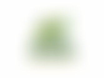 goa team building studio