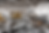 shutterstock_2364173075.png