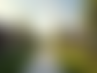 Understanding Austin Real Estate Market Trends for Smart Decisions