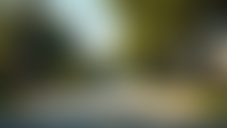 Navigate Austin Relocation Challenges Like a Pro