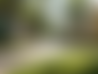 Find the Perfect Austin Real Estate Agent