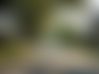 Find the Best Real Estate Agents in Austin