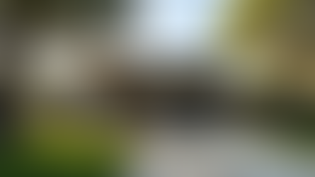 Discover Austin's Luxury Real Estate Experts