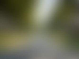 Finding the Best Real Estate Agents in Austin