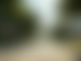 Top Austin Realtors for Your Move