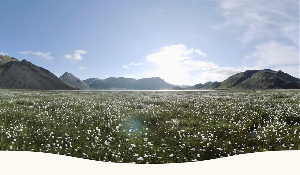 Website - Partnerships - Flow.png