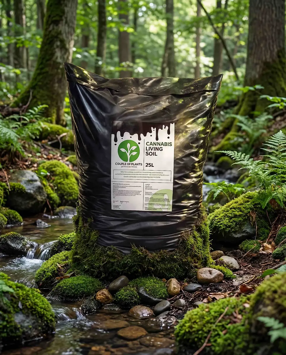 generated_1769727783701_3df5220c (1) (1) (1).webp