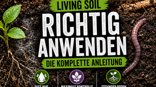 Deckblatt zum Blogartikel: Living Soil Anleitung 2026