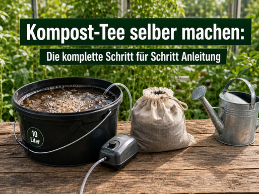 Kompost-Tee selber machen: Die komplette Schritt-für-Schritt-Anleitung (einfach & günstig)