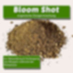 Bloom Shot Hauptfoto Thumbnail