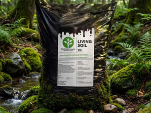 Living Soil in einem Wald, abgefüllt in einem Beutel