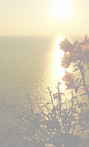 Sunset Flower Peaceful