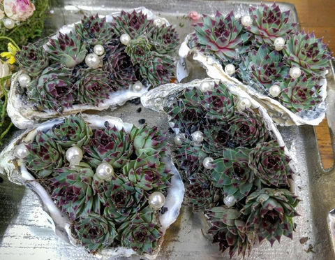 Dekorationen aller Art