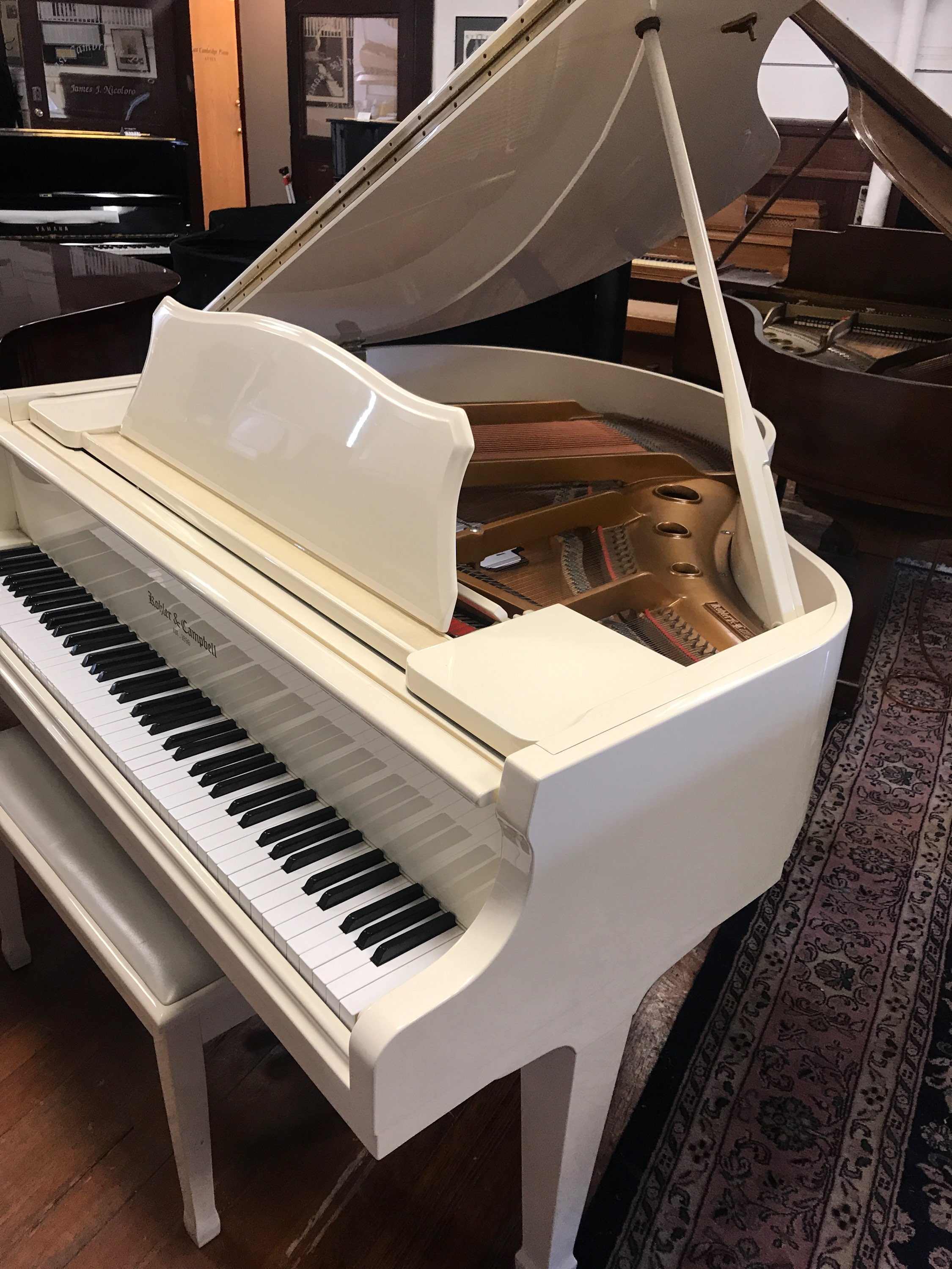 Kohler & Campbell grand