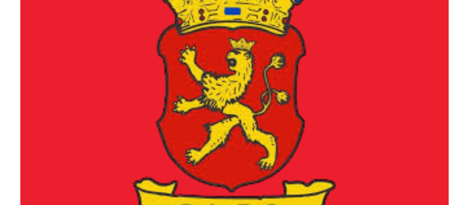 Cringila Lions Football Club