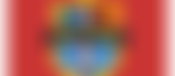 Shellharbour Football Club