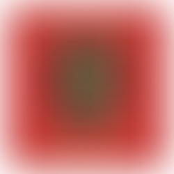 Bankstown City Lions