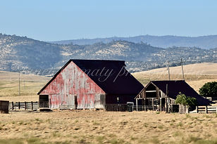 Worn Barn.jpg