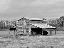 B&W Barn.jpg