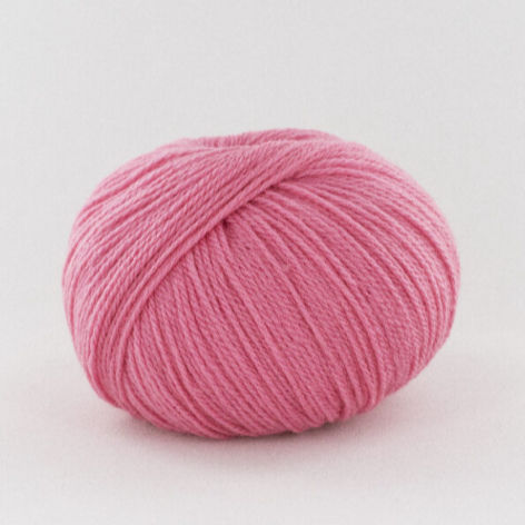 Miniature : Bloomer Baudouin