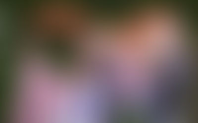 Japan's roots of peace