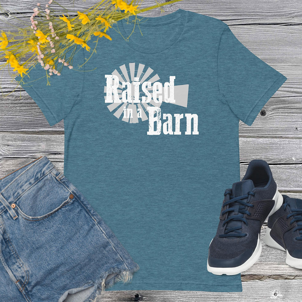 Thumbnail: Raised in a Barn T-Shirt