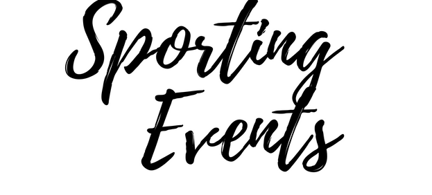 Passport Princess copy 2.png