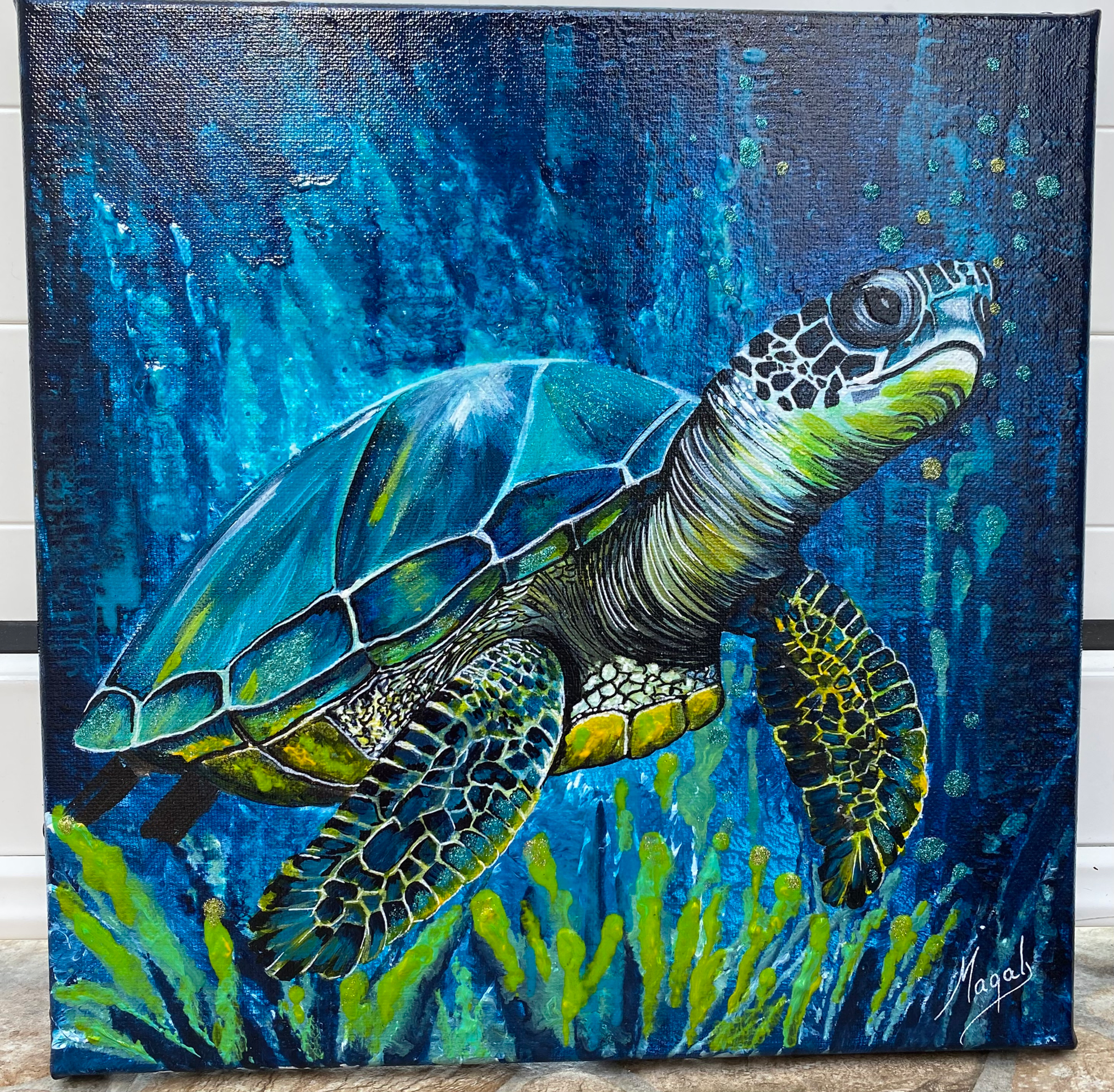 La tortue de l’anse des rochers 