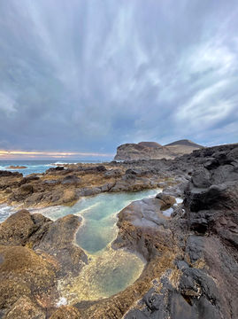 Tide pools in the Azores