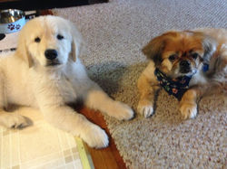 Chillin' - Just Chillin'