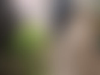 雑草駆除&砂利敷き