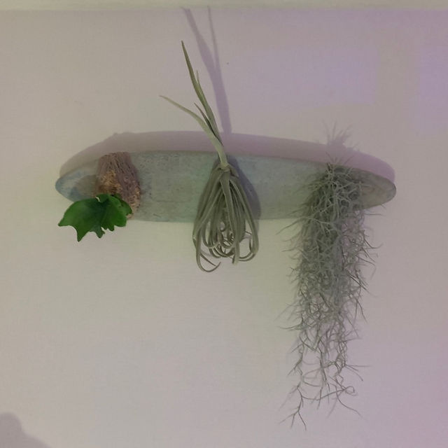 Works from Green Factory | 植木屋110 | 日本、ボタニカルインテリア