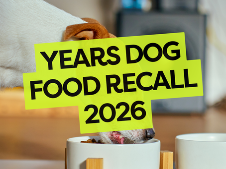 Dog eating food with text reading “Years Dog Food Recall 2026”, highlighting the precautionary UK recall following reports of potential eye problems in dogs